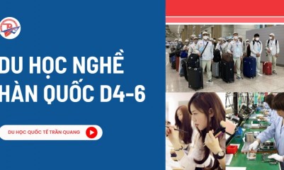Du học nghề Hàn Quốc D4-6 là gì? Cơ hội học nhanh – làm sớm tại Hàn Quốc